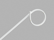 Dretler Ureteroscopy Stent Set
