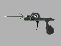 Evolution Shortie